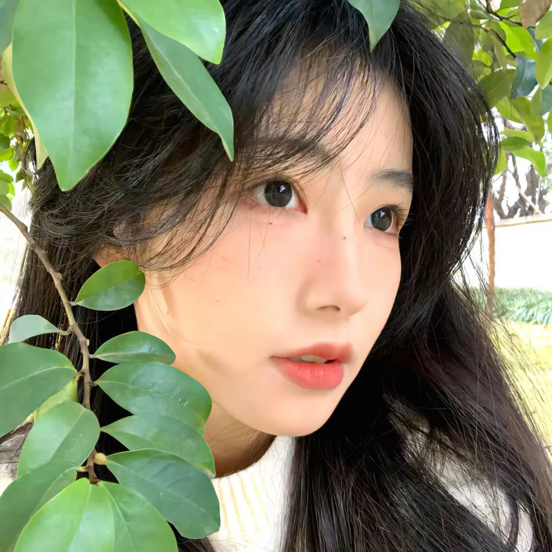 泡影昙花