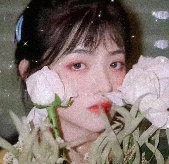 白狼